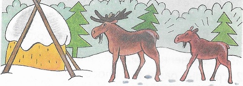  50         14     