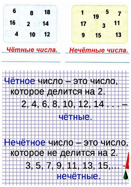 17. ,       ,  ;  ,  .   1  3   13