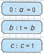     81